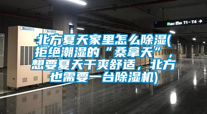 北方夏天家里怎么除濕(拒絕潮濕的“桑拿天”，想要夏天干爽舒適，北方也需要一臺除濕機)