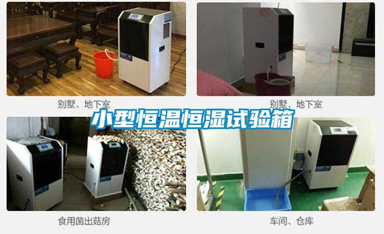 小型恒溫恒濕試驗(yàn)箱