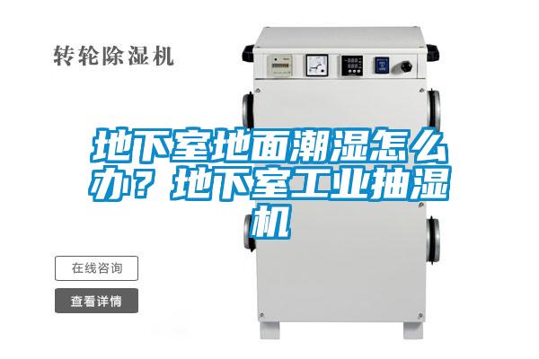 地下室地面潮濕怎么辦？地下室工業抽濕機