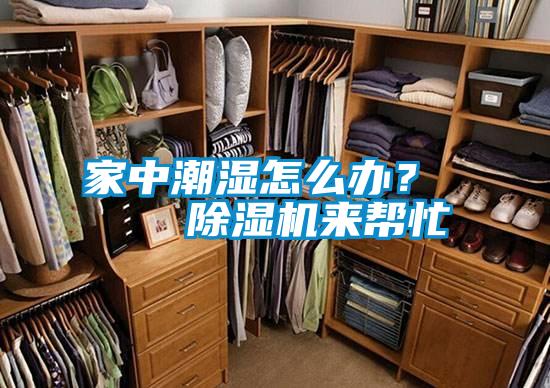 家中潮濕怎么辦? 除濕機來幫忙