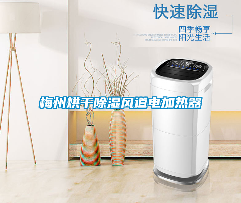 梅州烘干除濕風(fēng)道電加熱器