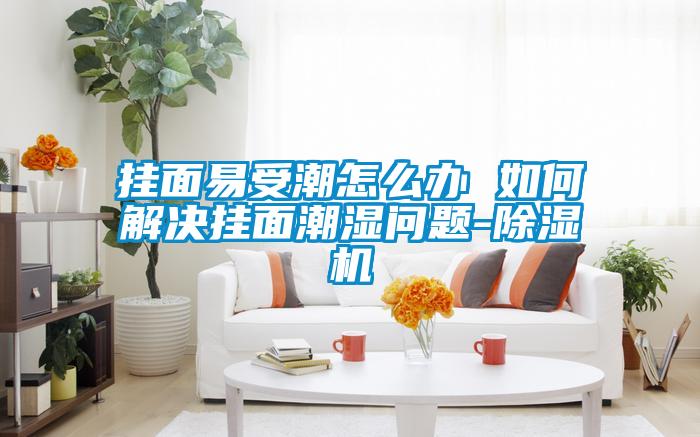 掛面易受潮怎么辦 如何解決掛面潮濕問題-除濕機