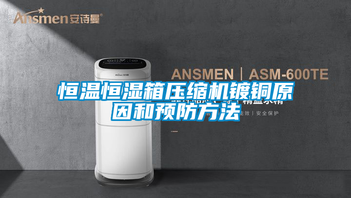 恒溫恒濕箱壓縮機鍍銅原因和預防方法