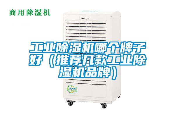 工業除濕機哪個牌子好(推薦幾款工業除濕機品牌)