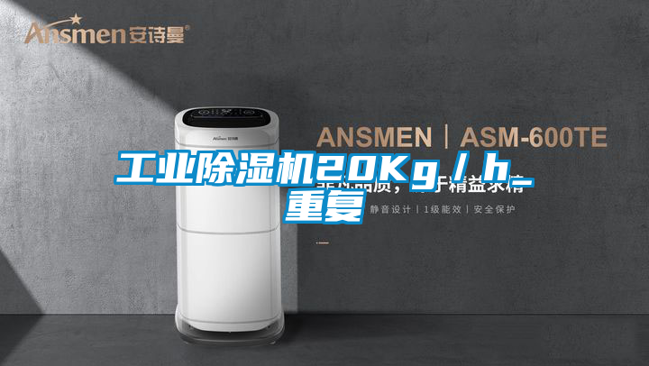 工業除濕機20Kg/h_重復