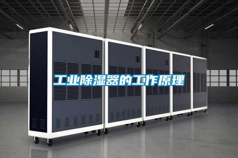 工業(yè)除濕器的工作原理