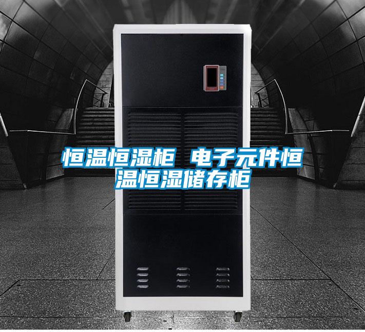 恒溫恒濕柜 電子元件恒溫恒濕儲(chǔ)存柜