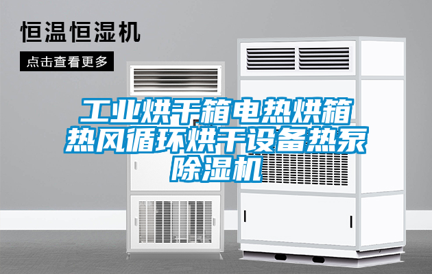 工業烘干箱電熱烘箱熱風循環烘干設備熱泵除濕機