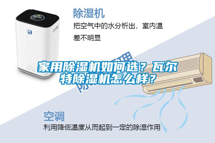 家用除濕機如何選?瓦爾特除濕機怎么樣?