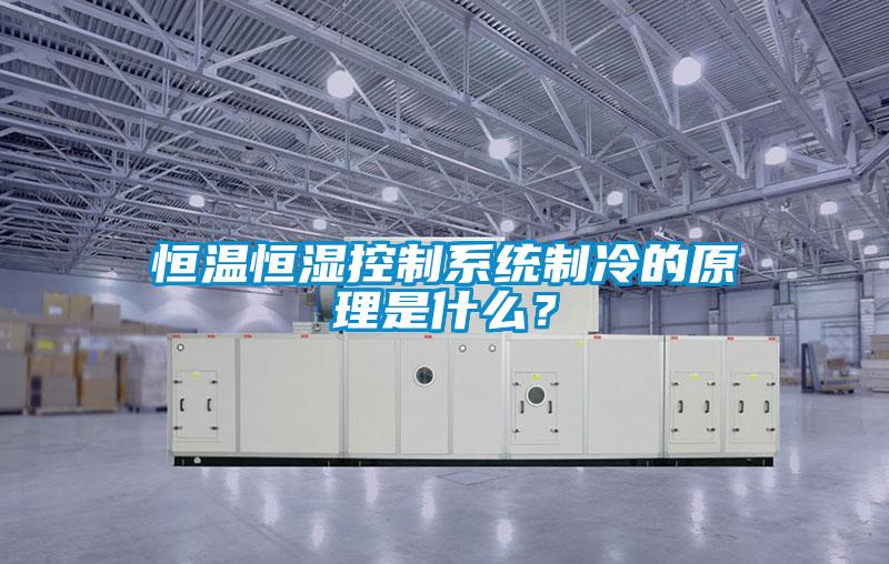 恒溫恒濕控制系統制冷的原理是什么？