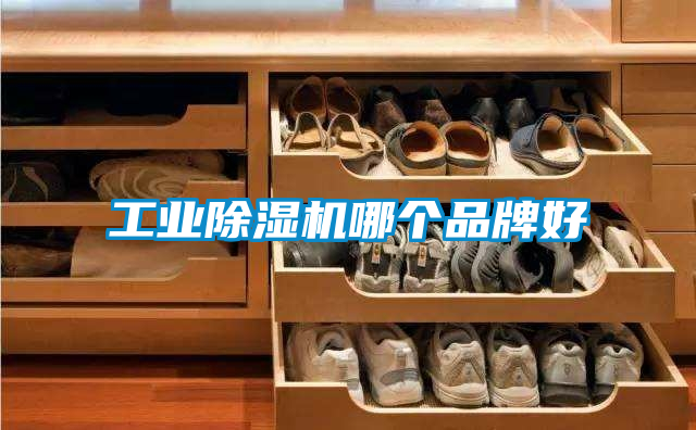工業除濕機哪個品牌好