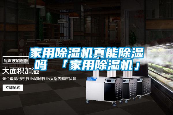 家用除濕機真能除濕嗎 「家用除濕機」