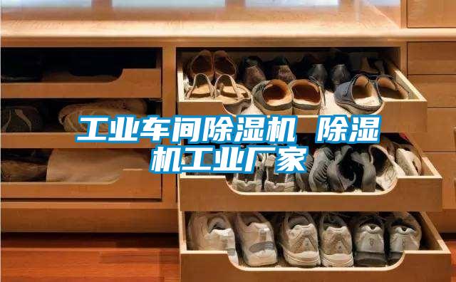 工業車間除濕機 除濕機工業廠家