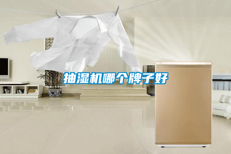 抽濕機哪個牌子好