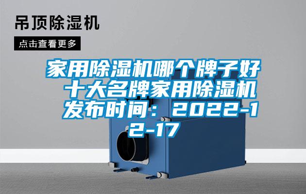 家用除濕機(jī)哪個(gè)牌子好 十大名牌家用除濕機(jī) 發(fā)布時(shí)間：2022-12-17