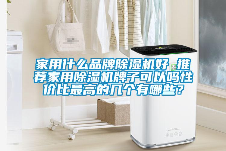 家用什么品牌除濕機好 推薦家用除濕機牌子可以嗎性價比最高的幾個有哪些?