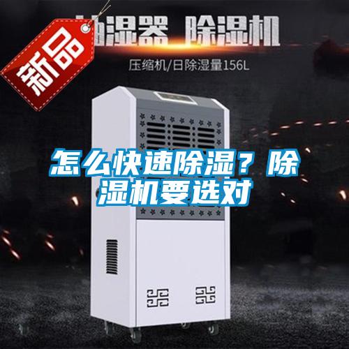 怎么快速除濕？除濕機要選對