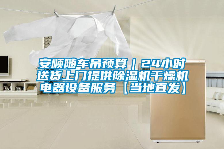 安順隨車吊預算|24小時送貨上門提供除濕機干燥機電器設備服務【當地直發】