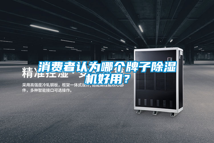 消費者認為哪個牌子除濕機好用？