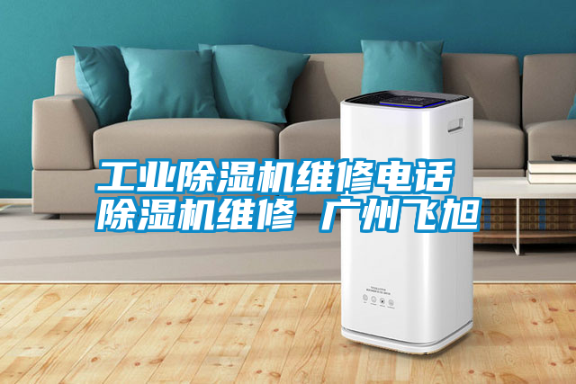 工業除濕機維修電話 除濕機維修 廣州飛旭