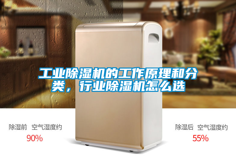 工業除濕機的工作原理和分類,行業除濕機怎么選