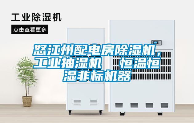 怒江州配電房除濕機，工業抽濕機  恒溫恒濕非標機器