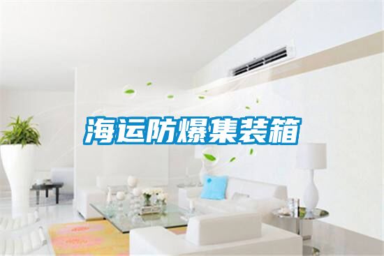 海運(yùn)防爆集裝箱