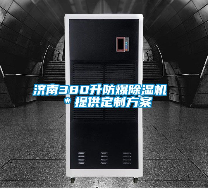 濟南380升防爆除濕機 *提供定制方案