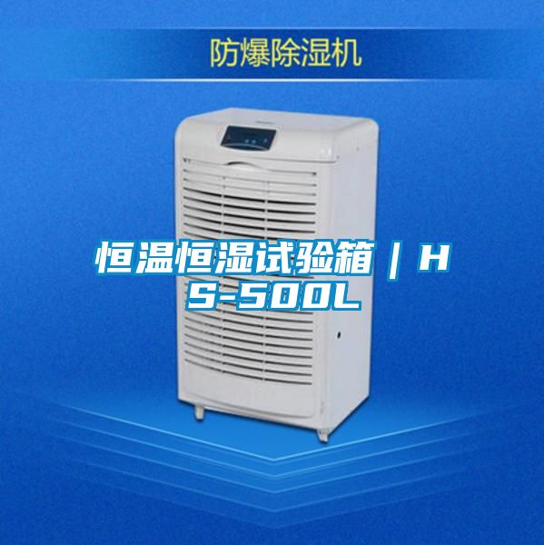 恒溫恒濕試驗箱｜HS-500L