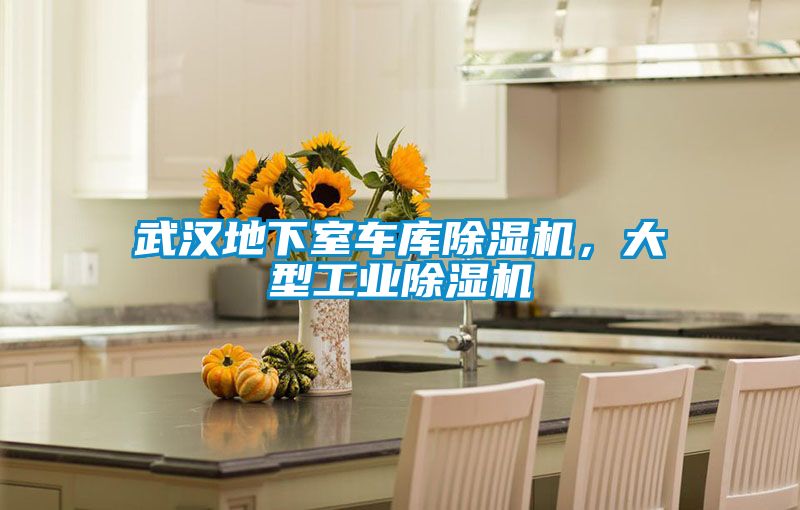 武漢地下室車庫除濕機,大型工業除濕機