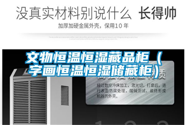 文物恒溫恒濕藏品柜(字畫恒溫恒濕儲藏柜)