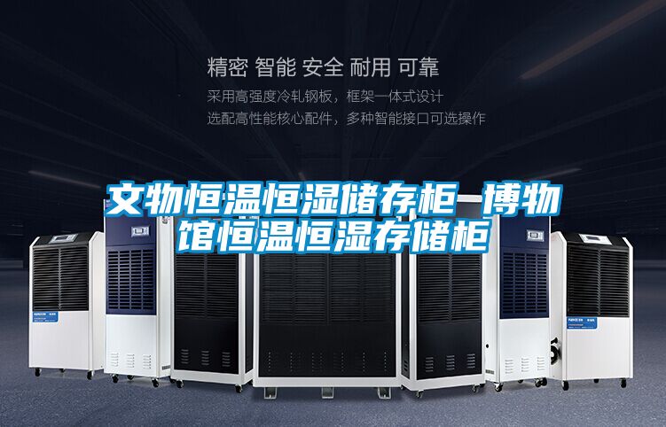 文物恒溫恒濕儲存柜 博物館恒溫恒濕存儲柜
