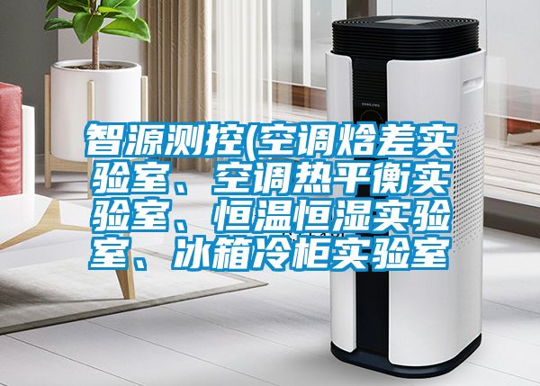 智源測控(空調焓差實驗室、空調熱平衡實驗室、恒溫恒濕實驗室、冰箱冷柜實驗室