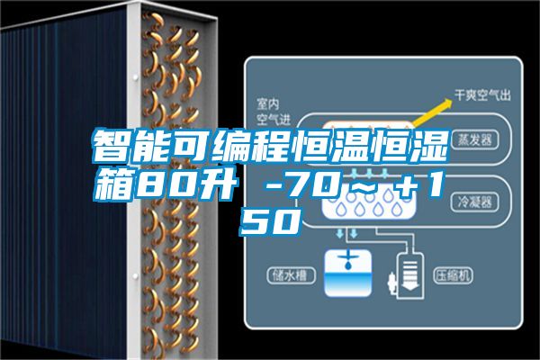 智能可編程恒溫恒濕箱80升 -70～＋150℃
