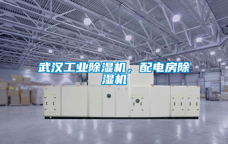 武漢工業除濕機，配電房除濕機
