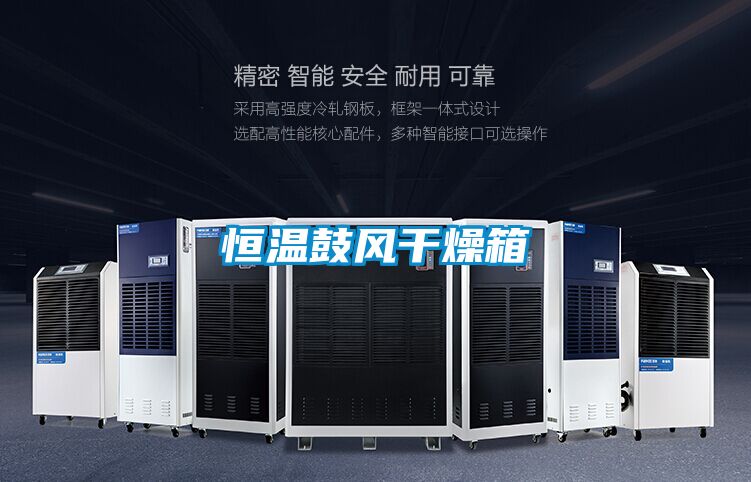 恒溫鼓風干燥箱