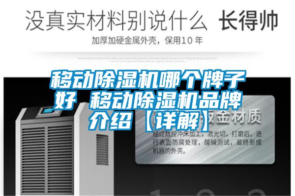 移動除濕機哪個牌子好 移動除濕機品牌介紹【詳解】