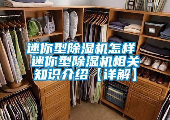 迷你型除濕機怎樣 迷你型除濕機相關知識介紹【詳解】