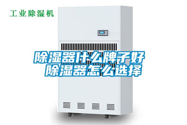 除濕器什么牌子好 除濕器怎么選擇
