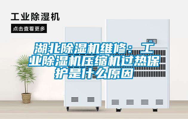 湖北除濕機維修：工業除濕機壓縮機過熱保護是什么原因