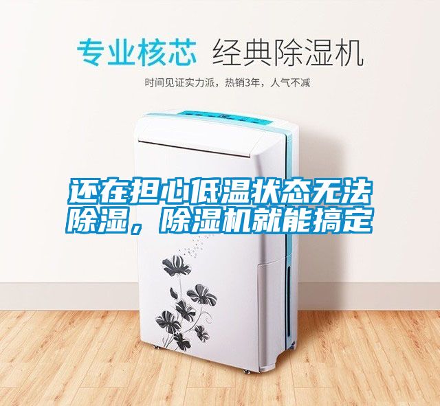 還在擔心低溫狀態無法除濕，除濕機就能搞定