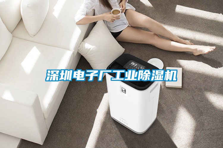 深圳電子廠工業除濕機