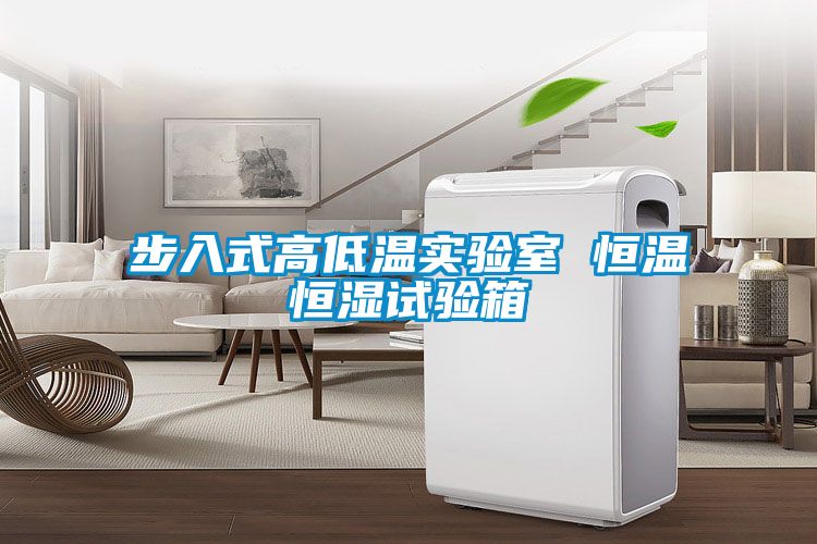 步入式高低溫實(shí)驗(yàn)室 恒溫恒濕試驗(yàn)箱