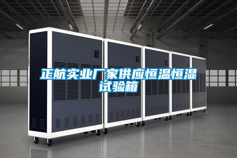 正航實業廠家供應恒溫恒濕試驗箱