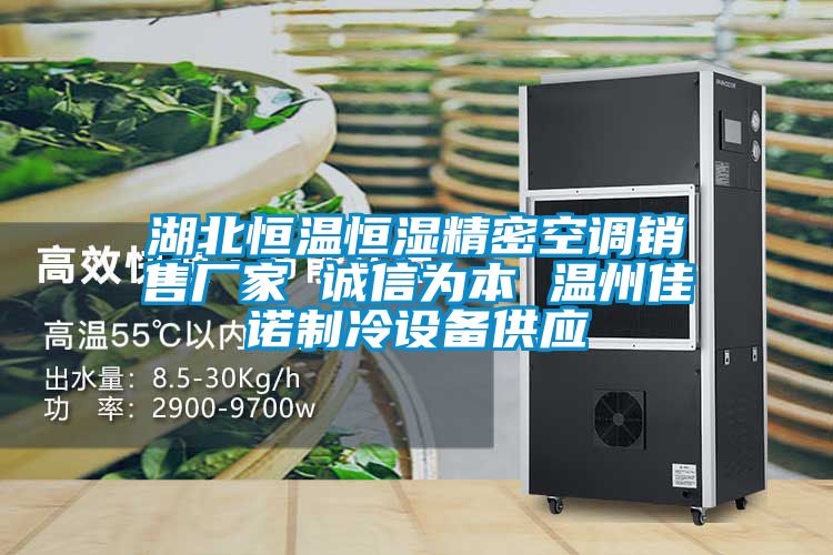 湖北恒溫恒濕精密空調(diào)銷售廠家 誠信為本 溫州佳諾制冷設(shè)備供應(yīng)
