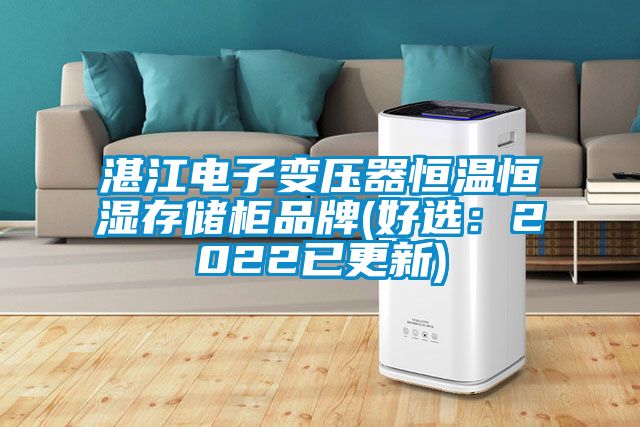 湛江電子變壓器恒溫恒濕存儲柜品牌(好選:2022已更新)