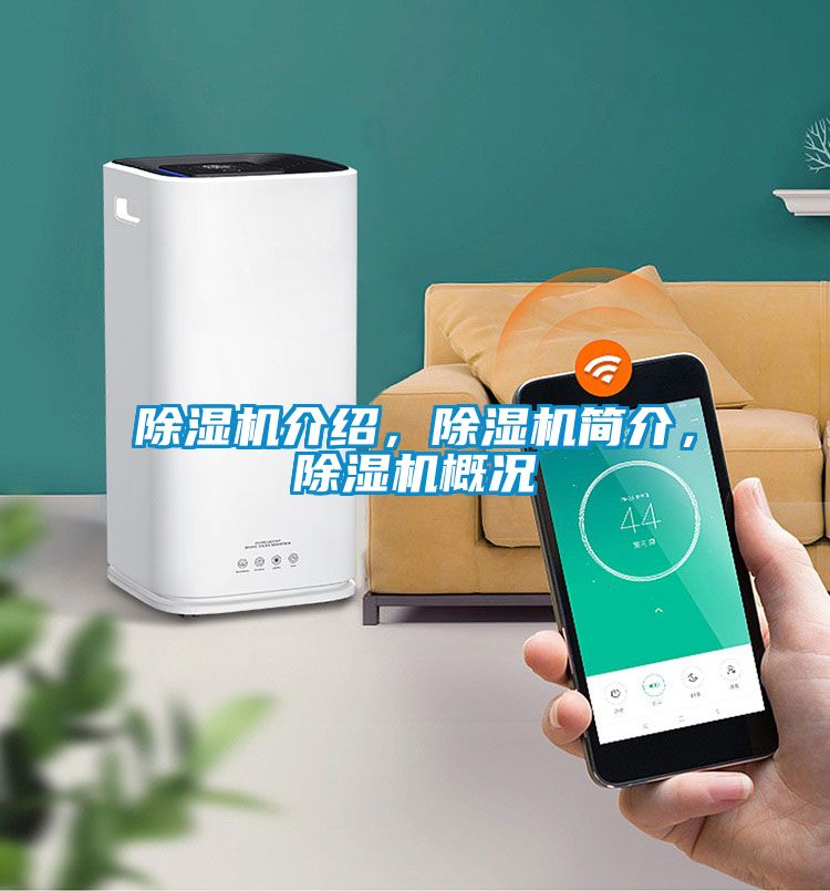 除濕機(jī)介紹,除濕機(jī)簡介,除濕機(jī)概況