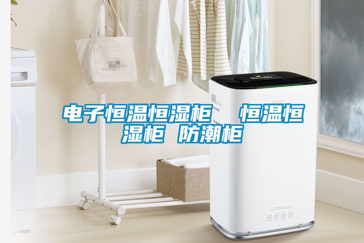 電子恒溫恒濕柜 恒溫恒濕柜 防潮柜