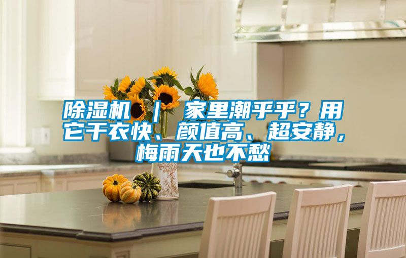除濕機(jī) | 家里潮乎乎?用它干衣快、顏值高、超安靜,梅雨天也不愁