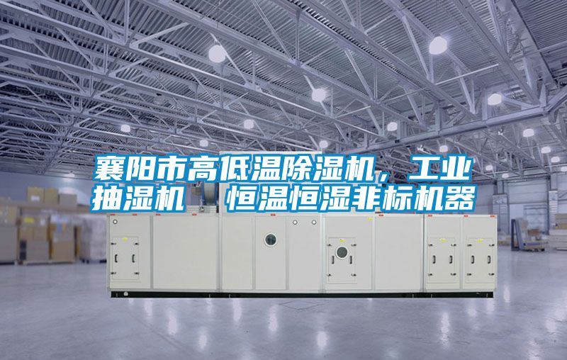 襄陽市高低溫除濕機，工業(yè)抽濕機  恒溫恒濕非標(biāo)機器